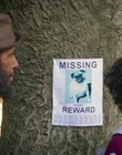 Filename=Dog_Days_mp43652.jpg
Filesize=905KiB
Dimensions=1920x800
Date added=Dec 07, 2022 Dog_Days_mp43652.jpg