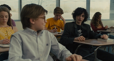 The_Goldfinch_mp43473.jpg