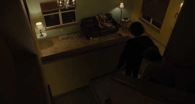 The_Goldfinch_mp44100.jpg