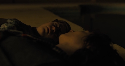 The_Goldfinch_mp44439.jpg