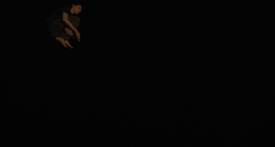 The_Goldfinch_mp44532.jpg