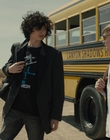 The_Goldfinch_mp43534.jpg