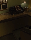Filename=The_Goldfinch_mp44098.jpg
Filesize=558KiB
Dimensions=1920x1024
Date added=Dec 07, 2022 The_Goldfinch_mp44098.jpg
