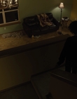 Filename=The_Goldfinch_mp44100.jpg
Filesize=551KiB
Dimensions=1920x1024
Date added=Dec 07, 2022 The_Goldfinch_mp44100.jpg