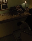 Filename=The_Goldfinch_mp44101.jpg
Filesize=561KiB
Dimensions=1920x1024
Date added=Dec 07, 2022 The_Goldfinch_mp44101.jpg