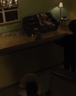 Filename=The_Goldfinch_mp44102.jpg
Filesize=543KiB
Dimensions=1920x1024
Date added=Dec 07, 2022 The_Goldfinch_mp44102.jpg