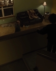 Filename=The_Goldfinch_mp44105.jpg
Filesize=564KiB
Dimensions=1920x1024
Date added=Dec 07, 2022 The_Goldfinch_mp44105.jpg
