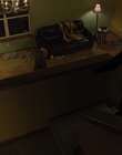 Filename=The_Goldfinch_mp44106.jpg
Filesize=558KiB
Dimensions=1920x1024
Date added=Dec 07, 2022 The_Goldfinch_mp44106.jpg