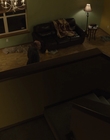 Filename=The_Goldfinch_mp44107.jpg
Filesize=580KiB
Dimensions=1920x1024
Date added=Dec 07, 2022 The_Goldfinch_mp44107.jpg