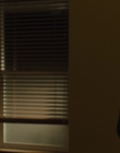Filename=The_Goldfinch_mp44110.jpg
Filesize=579KiB
Dimensions=1920x1024
Date added=Dec 07, 2022 The_Goldfinch_mp44110.jpg