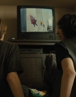 The_Goldfinch_mp44285.jpg