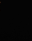 Filename=The_Goldfinch_mp44532.jpg
Filesize=161KiB
Dimensions=1920x1024
Date added=Dec 07, 2022 The_Goldfinch_mp44532.jpg