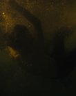 Filename=The_Goldfinch_mp44548.jpg
Filesize=439KiB
Dimensions=1920x1024
Date added=Dec 07, 2022 The_Goldfinch_mp44548.jpg