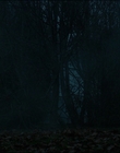 Filename=The_Turning_mp43728.jpg
Filesize=706KiB
Dimensions=1920x808
Date added=Dec 07, 2022 The_Turning_mp43728.jpg