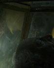 Filename=Ghostbusters_Afterlife_mp44831.jpg
Filesize=642KiB
Dimensions=1920x800
Date added=Dec 07, 2022 Ghostbusters_Afterlife_mp44831.jpg
