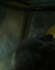 Filename=Ghostbusters_Afterlife_mp44833.jpg
Filesize=631KiB
Dimensions=1920x800
Date added=Dec 07, 2022 Ghostbusters_Afterlife_mp44833.jpg